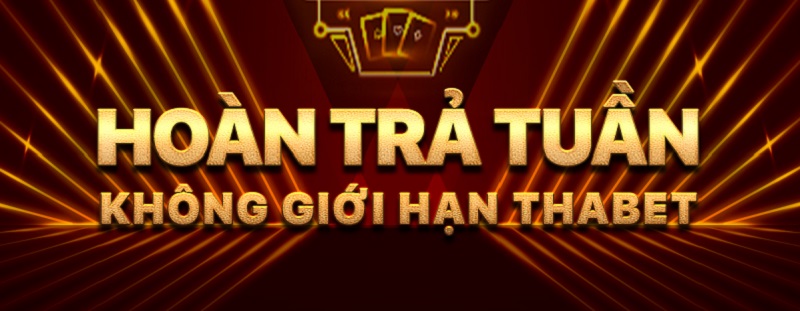 TJ77 nhà cái hoàn trả cao top đầu thị trường